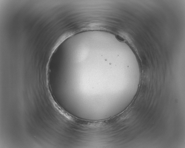 X0000060561386200511171554