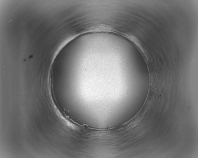 X0000060561387200511171554