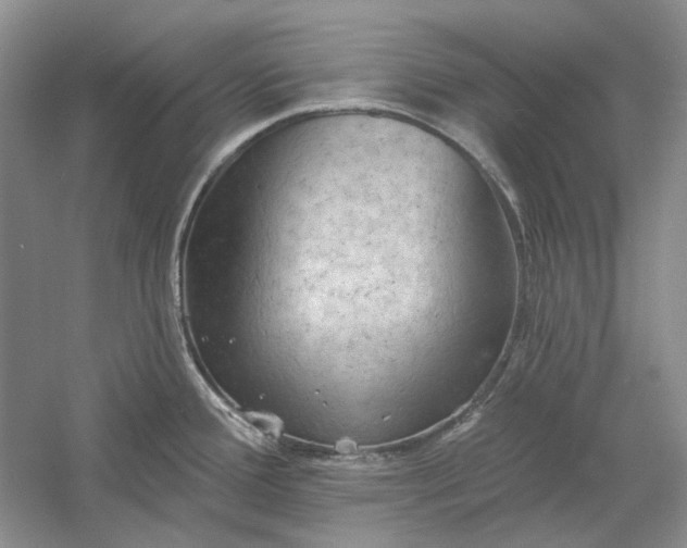 X0000060561388200511171554