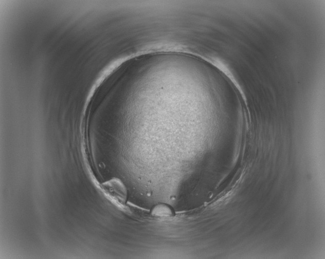 X0000060561389200511171554