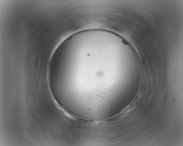 X0000060561390200511171554