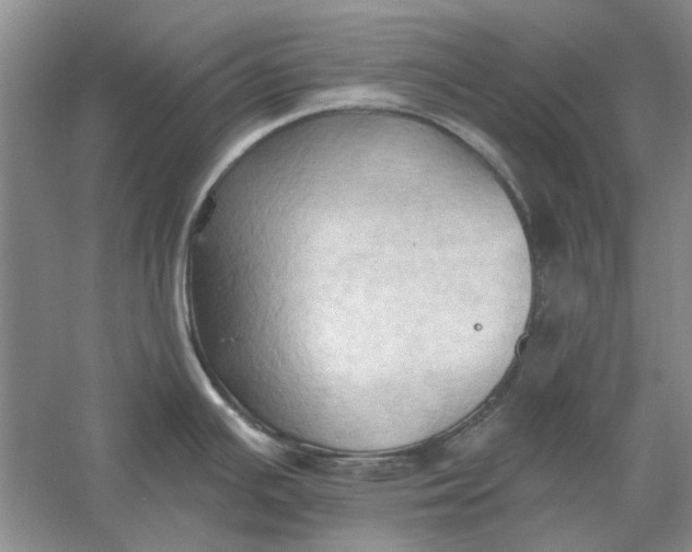 X0000060561391200511171553