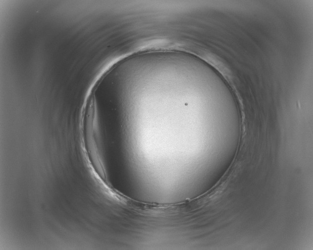 X0000060561392200511171553