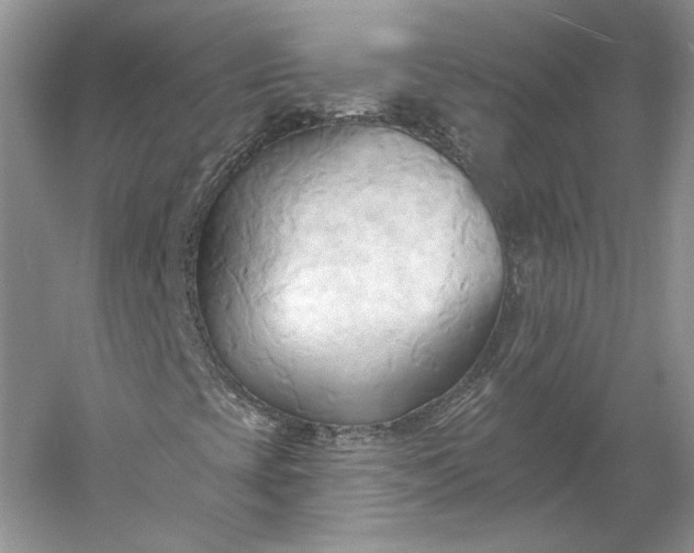 X0000060561393200511171553