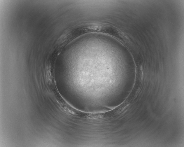 X0000060561394200511171553