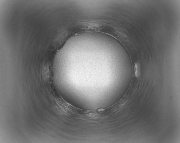 X0000060561395200511171553