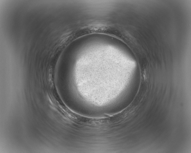 X0000060561396200511171553