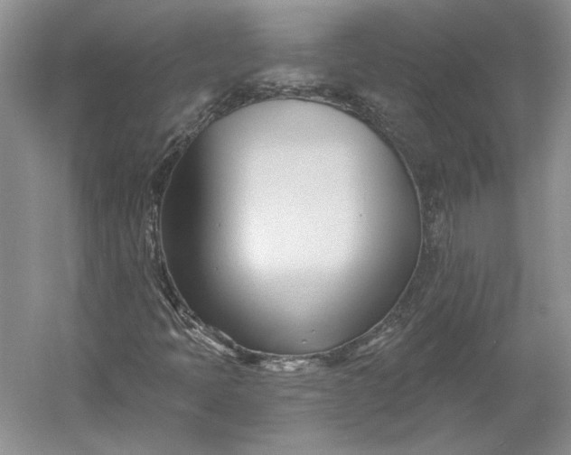 X0000060561397200511171553