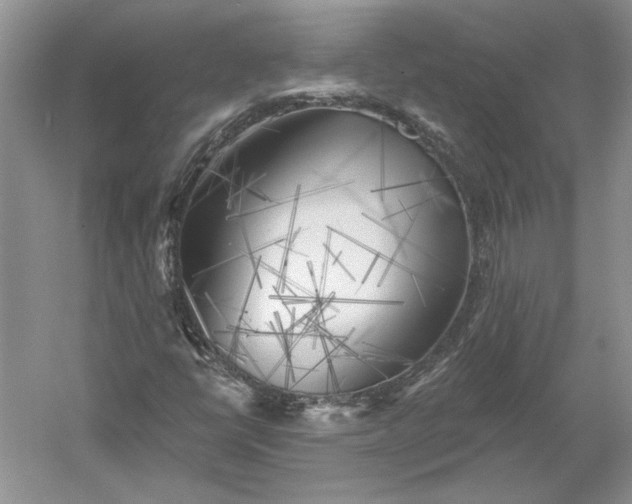 X0000060561398200511171553