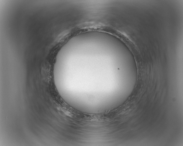 X0000060561399200511171553