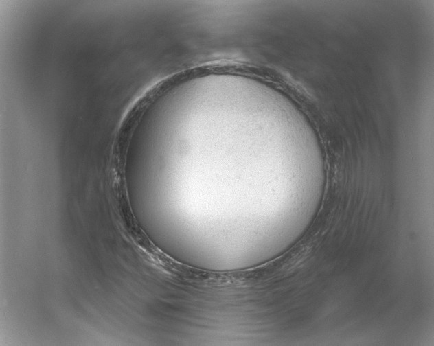 X0000060561400200511171553