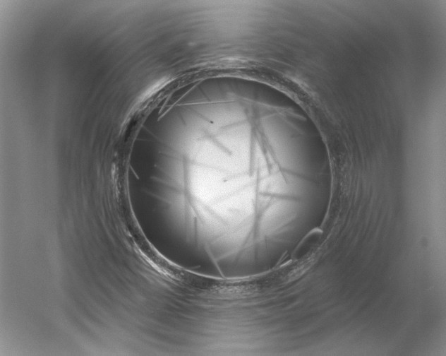 X0000060561402200511171553