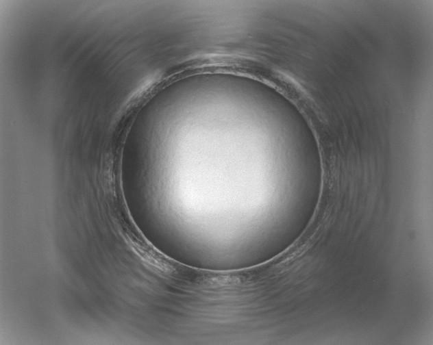 X0000060561403200511171553