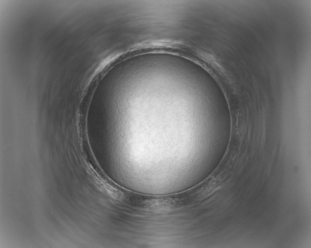 X0000060561404200511171553