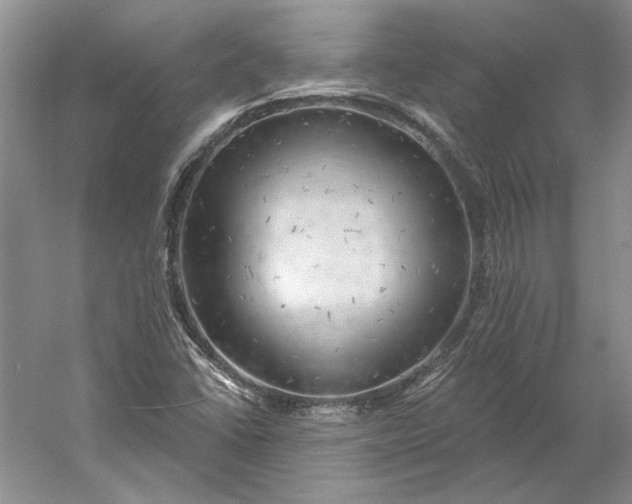 X0000060561406200511171553