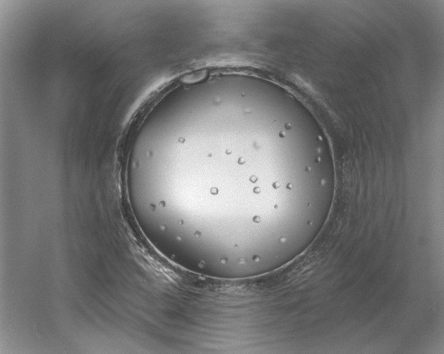 X0000060561408200511171553