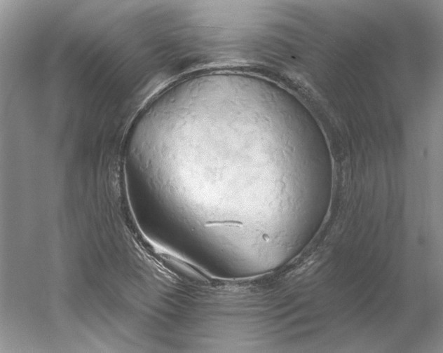 X0000060561409200511171553