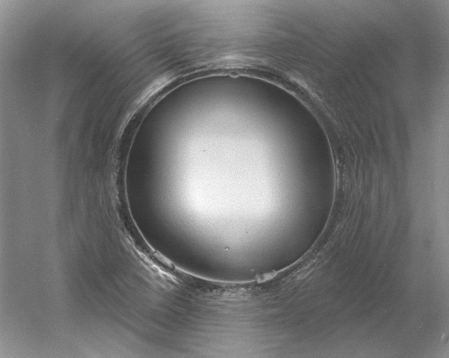 X0000060561410200511171553