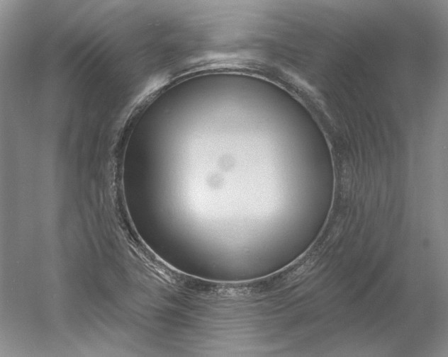 X0000060561411200511171553