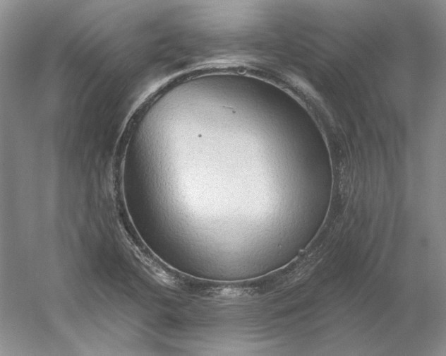 X0000060561412200511171553