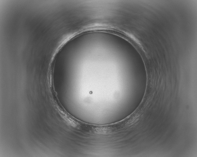 X0000060561413200511171553