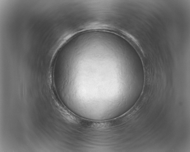 X0000060561415200511171553