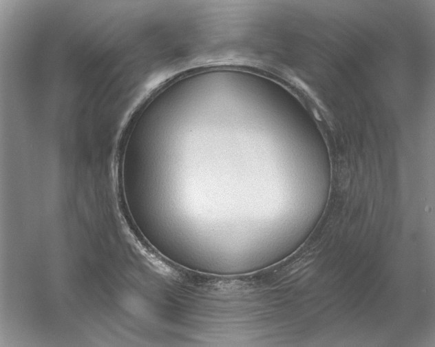 X0000060561416200511171553