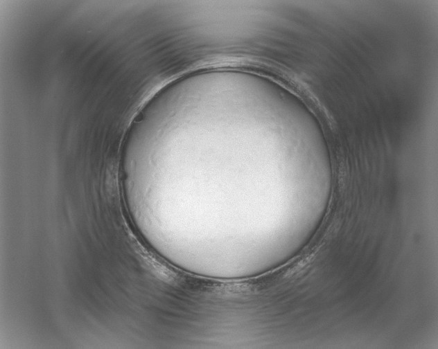 X0000060561417200511171553