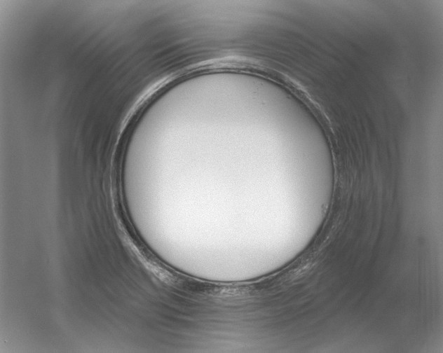 X0000060561418200511171553