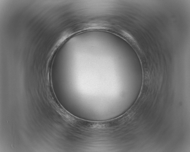 X0000060561419200511171553