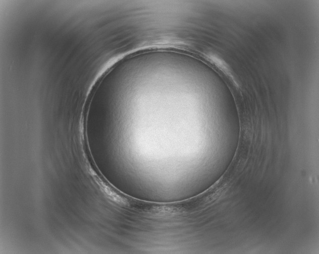 X0000060561420200511171553