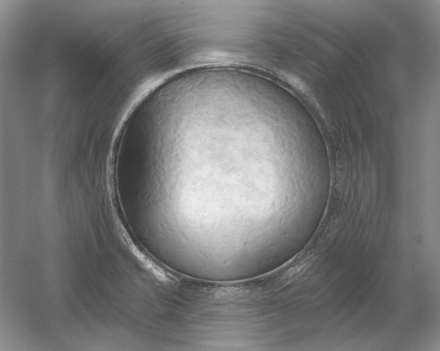 X0000060561421200511171553