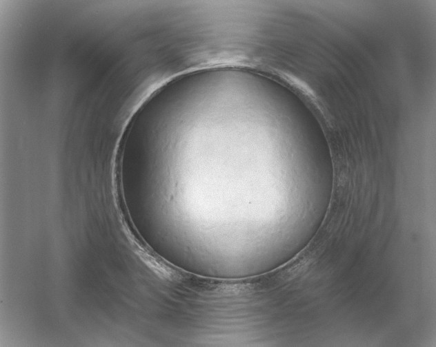 X0000060561423200511171553