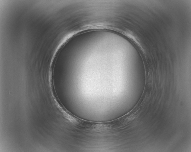 X0000060561424200511171553