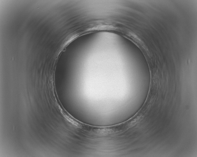 X0000060561425200511171553