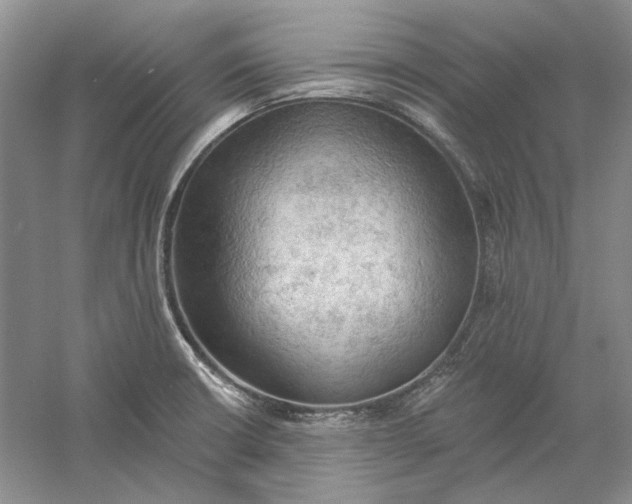 X0000060561426200511171553