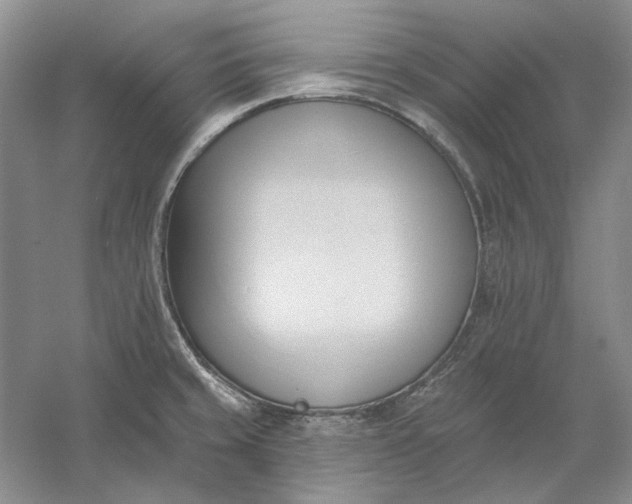 X0000060561429200511171553