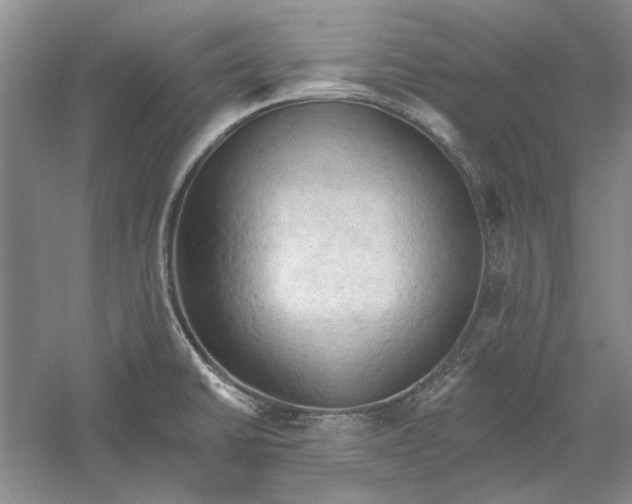 X0000060561430200511171553