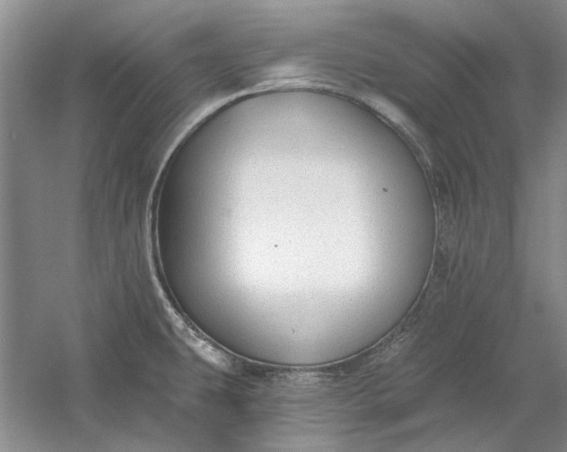 X0000060561431200511171553