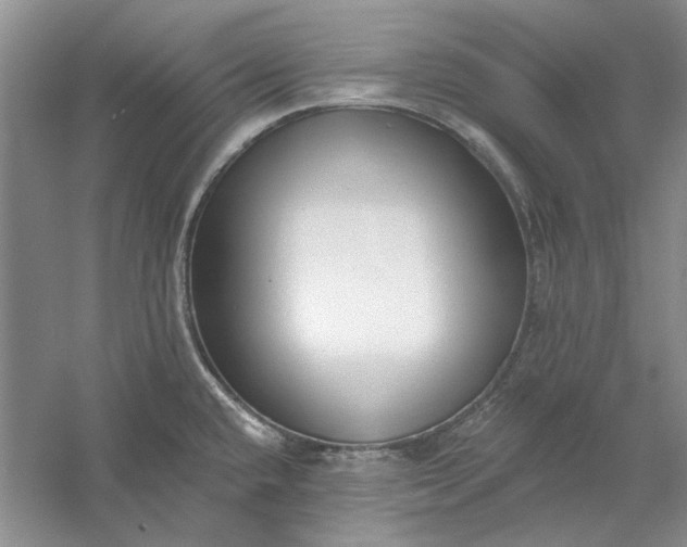 X0000060561432200511171553