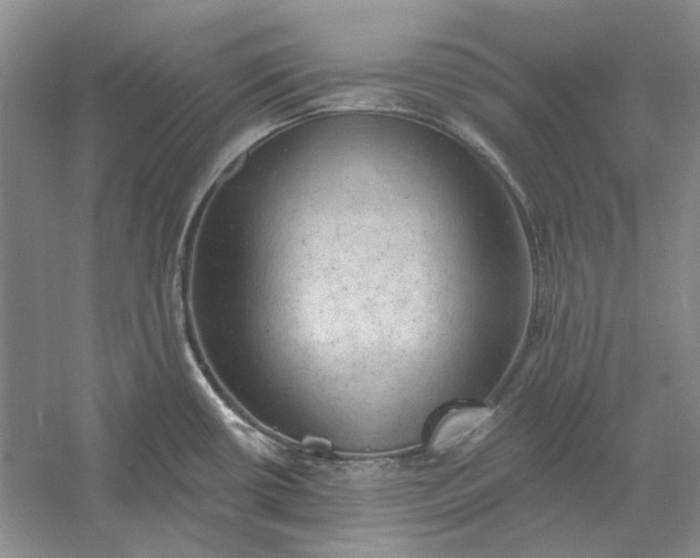 X0000060561434200511171553