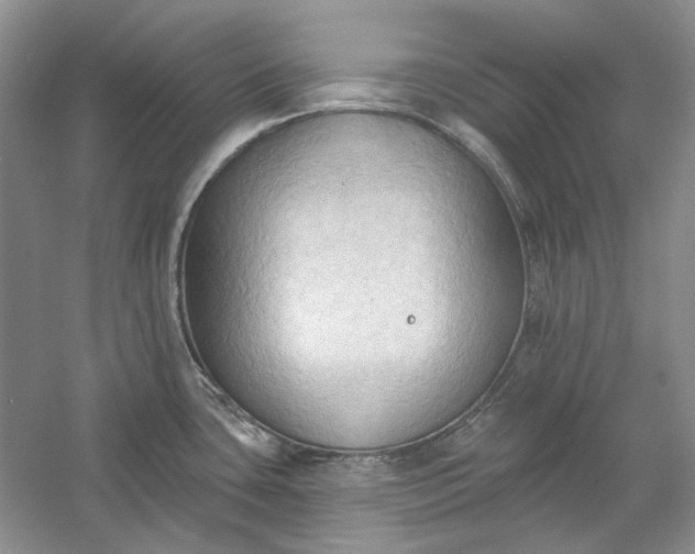 X0000060561435200511171553