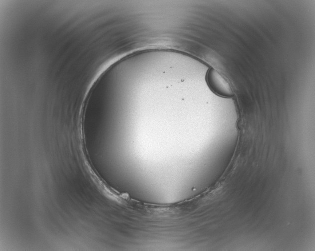 X0000060561436200511171553