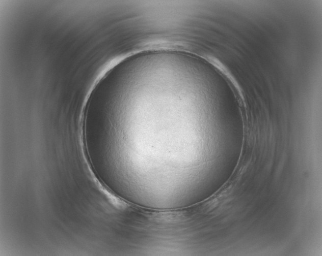 X0000060561437200511171553