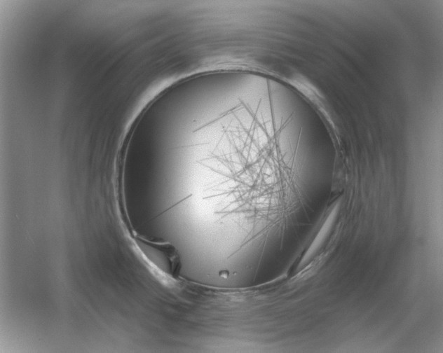 X0000060561438200511171553