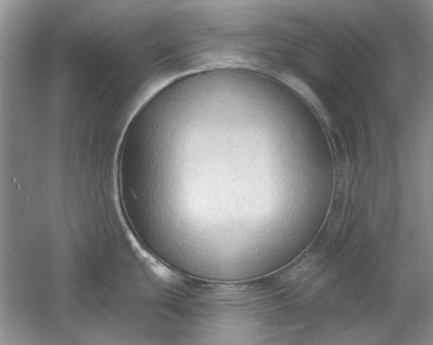 X0000060561439200511171553