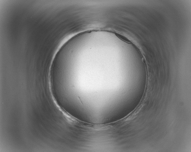 X0000060561440200511171553