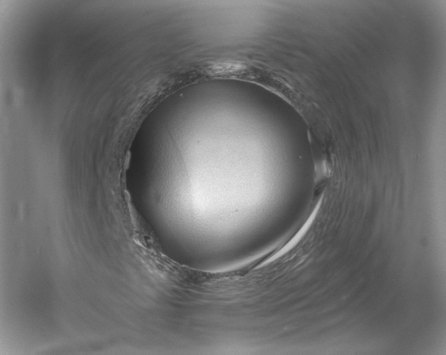 X0000060561441200511171553