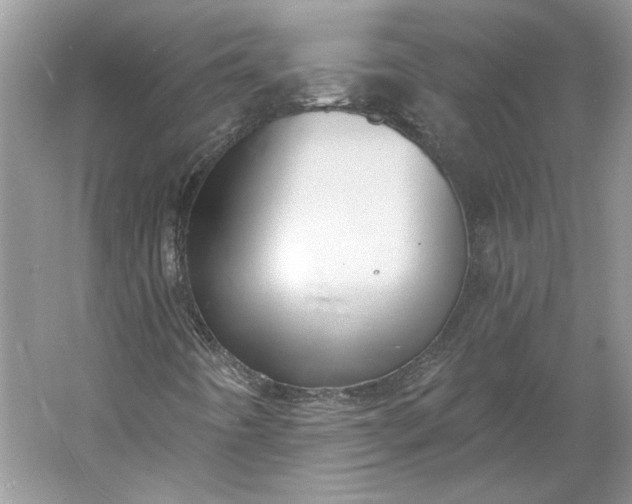 X0000060561442200511171553