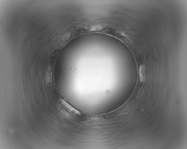 X0000060561443200511171553